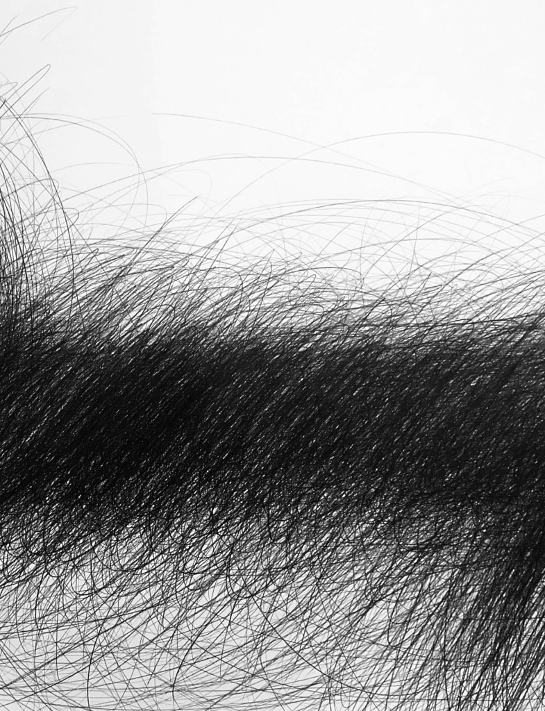 cover image piron 17